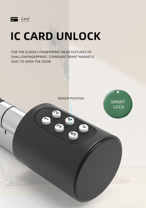 <strong>Small</strong> size Keyless <strong>Door</strong> <strong>Lock</strong> Electronic Cylinder <strong>lock</strong> RFID card Password Dry Battery Euro smart cylinder <strong>lock</strong> - Product Image 6