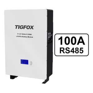 TIGFOX Europäischer heißester Solar wechsel richter 5kW LiFePO4-Batterie 48V 100Ah 5kWh Batterie 51,2 V 100Ah Lifepo4-Batterie