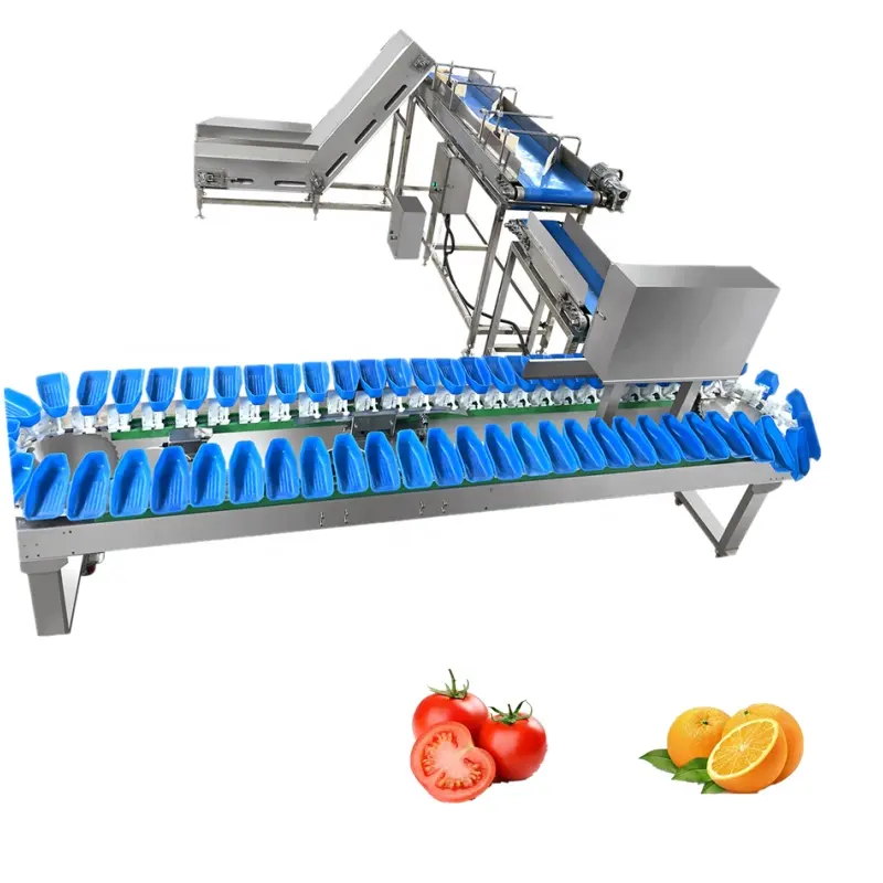 Pesare con precisione patate fresche cipolle pomodori frutta e verdura classificazione peso smistatore macchina