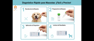 Petcare ALICE01 Prueba Rápida Reutilizable de Antígeno del Coronavirus Felino (FCoV) para Perros - Uso en Hospitales Veterinarios, Origen Shanghái - Product Image 2