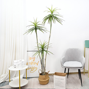Agave artificielle à feuilles étroites en pot, 2,3 m de haut, simulation réaliste, décoration intérieure pour maison, salon, hôtel, accessoires de mariage - Product Image 3