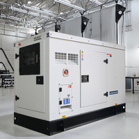 Heißer Verkauf: Cummins 20kW 30kW Diesel-Stromerzeuger 50/60Hz Dreiphasig ATS Automatischer Start Dieselgenerator mit Motoroptionen für Zuhause
