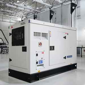 Generador Eléctrico Diésel Cummins de 20kW 30kW en Oferta, 50/60Hz Trifásico, ATS, Arranque Automático, Opciones de Motor Diésel para el Hogar - Product Image 5
