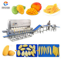 Op maat gemaakte fruit-schil- en snijlijn voor mango's, inclusief mango-schiller en -snijmachine voor de verwerking van gedroogde mango's