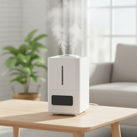 Humidificateur électrique portable fonction d'aromathérapie humidificateur de marque privée pour l'utilisation de l'hôtel domestique télécommande en plastique