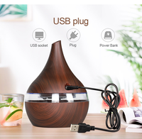 OEM Top Vente 300ml Grain de Bois Mini Diffuseur USB Home Spa Humidificateur d'Air en Bois