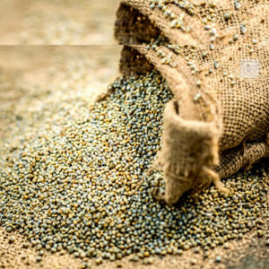 Traitement des aliments à base de millet perlé - Product Image 1