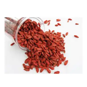 The new crop is a hot-selling dried goji berry  which is easy to transport and easy to preserve