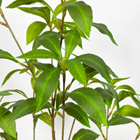 Arbre artificiel Pieris de 120 cm, plante artificielle Bonsaï, faux arbre pour la décoration intérieure de la maison et du jardin