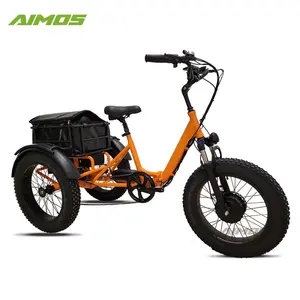 2022 새로운 디자인 3 바퀴 전기 trike 48V 17.4Ah 화물 자전거