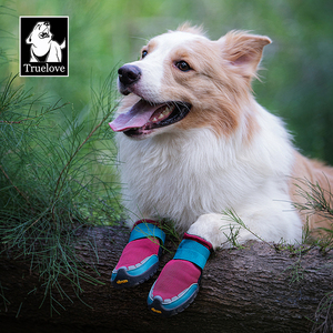 Chaussures <span class=keywords><strong>de</strong></span> <span class=keywords><strong>pluie</strong></span> pour chien Truelove Wholesale Premium Soft Dog Paw Boots, imperméables, réfléchissantes, durables, antidérapantes, confortables, 2 paires. - Product Image 5