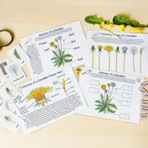 Printable Nature Learning Materials Preschool Curriculum Busy Book Educational Book For Toddler