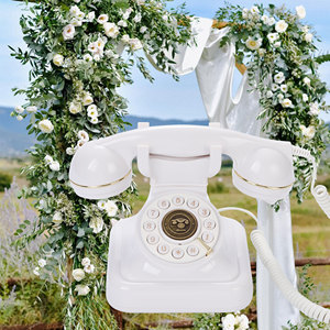 Decorazione di nozze telefono festa di compleanno raccogliere benedizioni antico Guestbook Euro classica Vintage registrazione di messaggi Audio - Product Image 5