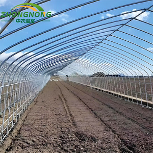Serre tunnel commerciale personnalisée à simple travée, grande taille, <span class=keywords><strong>en</strong></span> film PE anti-UV, avec contrôle de température toute l'année pour la culture de légumes - Product Image 1