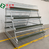Équipement d'élevage de poulets, système de cages pour poulets de chair, système d'alimentation automatique pour poulets