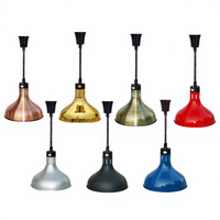 Lampe chauffante pour aliments Heavybao 220v, en acier inoxydable, avec abat-jour, pour buffet, hôtel, restaurant, cafétéria, équipement de restauration en gros.