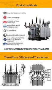 मध्यम और उच्च वोल्टेज mv & hv ट्रांसफार्मर 110kv 6.3kv 6.3kv 8mva 10mv. बिक्री के लिए तीन चरण वाइंडिंग पावर ट्रांसफार्मर - Product Image 6