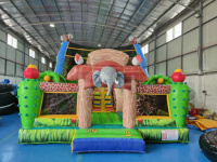 Toboggan aquatique détachable d'enfants gonflables extérieurs commerciaux de terrain de jeu tropical à vendre la partie sautant le toboggan gonflable de château