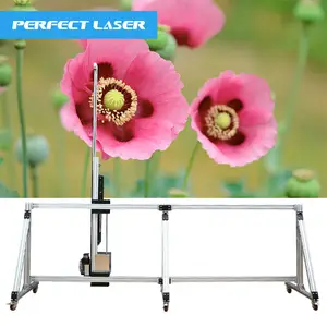 Perfect Laser New Automatic Digital Banner Sensor 3D UV Inkjet Wall Glass Printing Machine