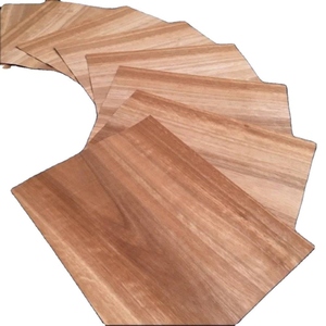 Heavy Duty E0 Chapa de abedul Película de madera contrachapada impermeable Encofrado de madera contrachapada para construcción y encofrado de Vietnam - Product Image 1