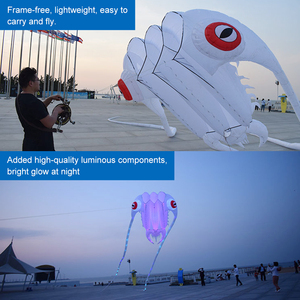 <span class=keywords><strong>Cerf</strong></span>-<span class=keywords><strong>volant</strong></span> géant en forme d'insectes 3D, design pieuvre gonflable, performance nocturne en extérieur, LED clignotantes haute luminosité - Product Image 6