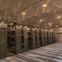 Ampoule LED 48-220V pour l'éclairage des fermes avicoles - Économie d'énergie et faible émission de chaleur pour les cages à poulets et les bâtiments d'élevage