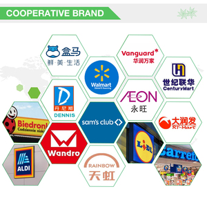 OEM/ODM tinh chất Gà Gia vị | gà kho bột cho súp 200g x 40 túi | OEM hỗ trợ hương vị gà Enhancer số lượng lớn - Product Image 6