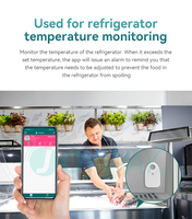 Thermomètre numérique avec capteur de température NRF51802, balise industrielle BLESmart, dispositif de mesure de température via application