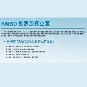 ปั๊มสุญญากาศอเมริกัน KINNEY KMBD มอเตอร์เหล็กหล่อสำหรับระบบอบแห้งและขจัดน้ำ - Product Image 3