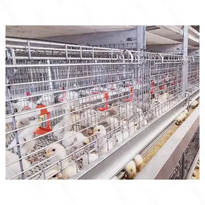 Alta efficienza di allevamento EPS materiale griglia gabbia di pollo pollame attrezzature allevamento di polli automatico allevamento di polli