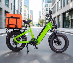Vélo de livraison électrique à louer 48V 500W avec GPS, suivi IoT et NFC - Modèle RE04 - Product Image 1
