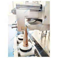 Machine de remplissage scellage automatique de tubes en plastique à ultrasons