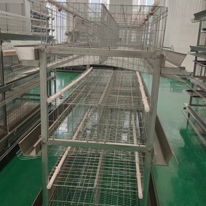Cage à poulets de type H pour projet de prêt bancaire de développement agricole - Product Image 2