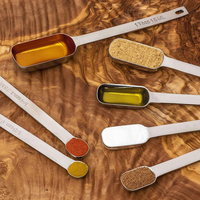 Cuillères à mesurer étroites en acier inoxydable Cuillères à mesurer en métal robustes avec mesures gravées à long manche pour pot à épices