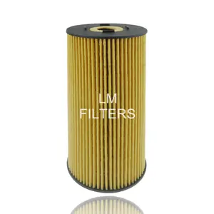 Otomatik motor yağ filtresi kartuş distribütörü 0001336380 570958308 7211208 0011845425 3641800110