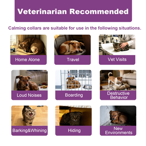 Collar Calmante para Gatos a Prueba de Agua con Feromonas, Directo de Fábrica, Collar Seguro y Efectivo para Aliviar la Ansiedad para Gatos de Todos los Tamaños - Product Image 6