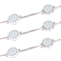 Guirlandes lumineuses LED RGB en cuivre pour extérieur, 50 mm, avec pierres précieuses, indice de protection IP67, garantie de 2 ans