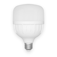 Woojong 12W 14W 15W T50 3000K/4000K/6500K Ampoule E27 B22 Ampoules Led Ampoules Led Lumières
