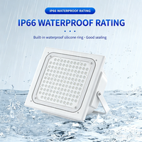 5 Yıl Garantili 100W 150W 200W IP66 Yüksek Parlaklıklı LED Benzin İstasyonu Tavan Lambası
