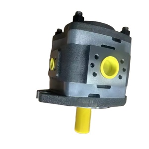 IPV-5-32-101 IPV-5-40-101 IPV-5-50-101 IPV-5-64-101 de Alta Durabilidad y Larga Vida Útil para Equipos Industriales y Móviles - Product Image 1