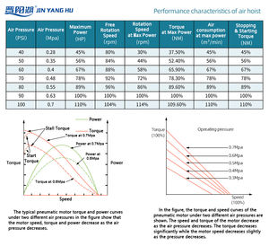 מנוף שרשרת אוויר 5 טון 10 טון 20 טון אוויר כננת אוויר אוויר קטן להניף מנוע פנאומטית להרמת פנאומטית - Product Image 2