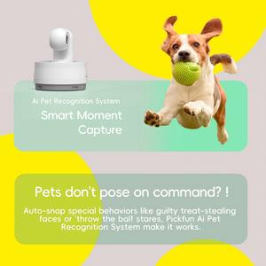 אפליקציית מצלמת חיות מחמד במשלוח ישיר, 2.4G 5G WiFi, 360 מעלות, אינטראקטיבית, לכלבים וחתולים, חומר ABS, ניטור, וולוגים אוטומטיים, 5MP 2K, ראיית לילה - Product Image 3