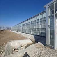 Construction de serres agricoles en verre pour une croissance optimale des cultures