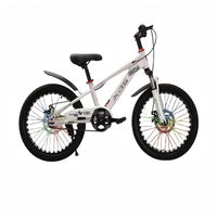 Vélos pour enfants en gros de 18/20/22 pouces avec cadres en acier robustes ; hauteur réglable, adaptés aux enfants de 6 à 16 ans. Frein à disque.