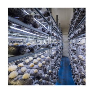 Nấm nuôi thiết bị Oyster <span class=keywords><strong>Shiitake</strong></span> nấm nuôi trồng container nhà kính vận chuyển container trang trại nhà máy - Product Image 1