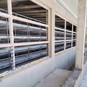Jaulas de cría de <span class=keywords><strong>pollos</strong></span> de engorde tipo H de malla galvanizada de bajo <span class=keywords><strong>precio</strong></span> <span class=keywords><strong>para</strong></span> <span class=keywords><strong>pollos</strong></span> de engorde modernos <span class=keywords><strong>para</strong></span> <span class=keywords><strong>pollos</strong></span> de engorde a 2,5 kg - Product Image 4