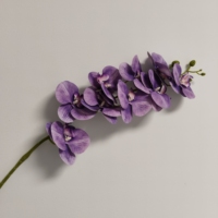 2024 neuer stil 9 köpfe 3d lebensecht berührungsfähige blumen künstliche blumen hochzeitsdekoration künstliche orchideen