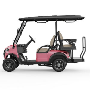 Voiturette de golf tout-terrain avec espace de rangement, véhicule multi-usages pour passagers, personnalisable avec logo pour le marketing - Product Image 1