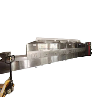 Chine Équipement de machine de stérilisation de séchage de tunnel de micro-ondes industriel entièrement automatique de grande capacité