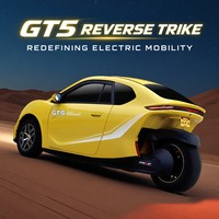 GT5 Tricycle Électrique à Propulsion Arrière, Batterie Lithium-Ion, Adapté aux Personnes Âgées, Carrosserie Fermée, Conforme aux Normes EEC/GCC